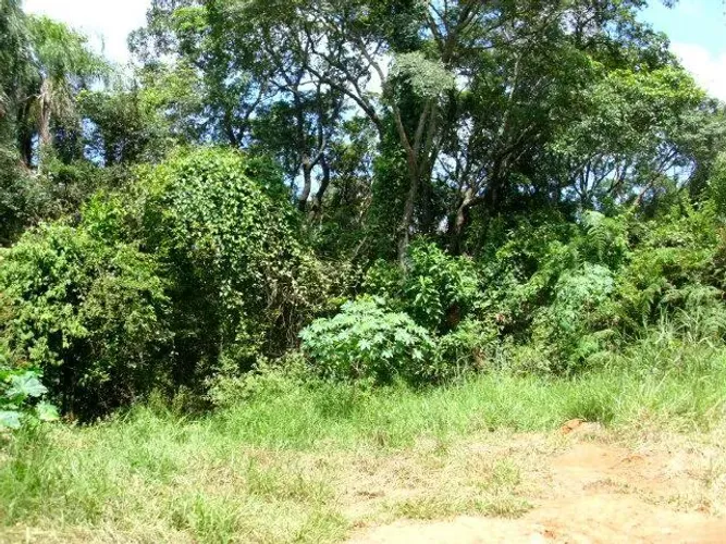 Sítio - Sítios Primavera - Jarinu