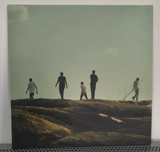 Lp 5 A Seco Sentido Vinil Verde Opaco