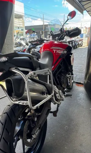 TRIUMPH/900 GT PRO
