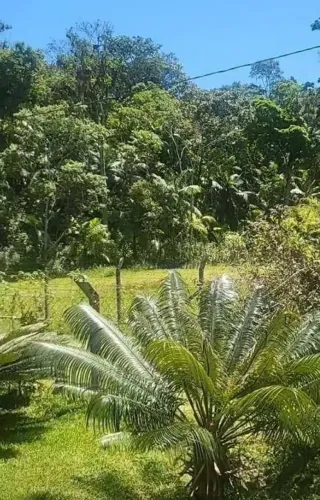 Terreno à venda, 9000 m² por R$ 250.000,00 - Miracatu - Miracatu/SP