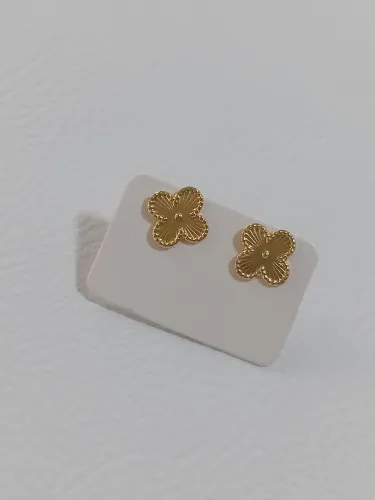 Trevo Dourado e Argola Prata