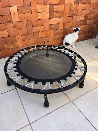 Jump novo 