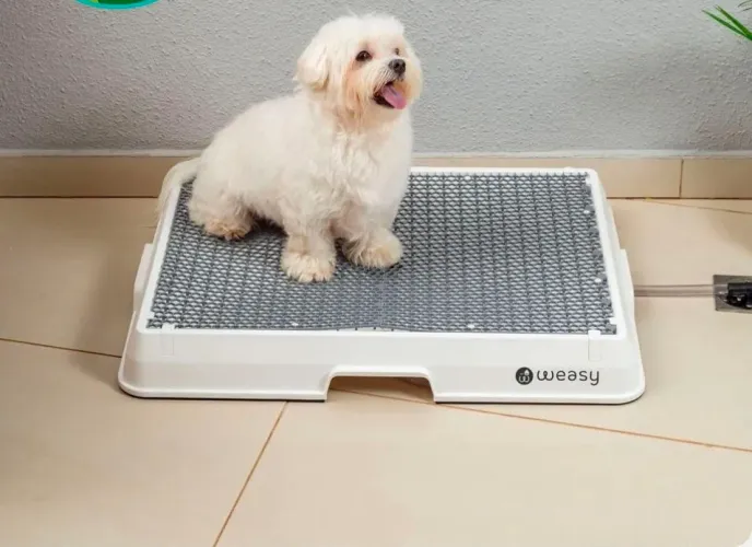 Weasy Dog - banheiro para cachorro