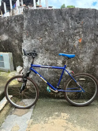 Bicicleta