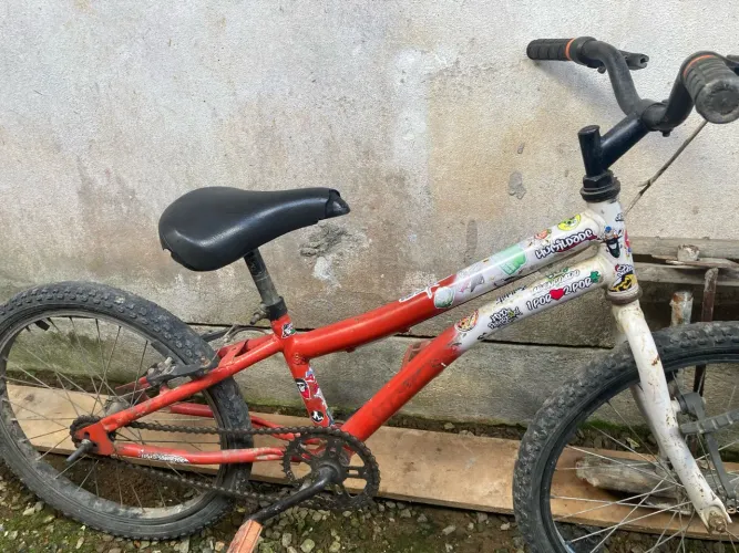 Bicicleta