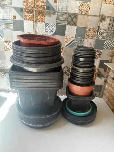 Vasos de plantas