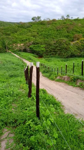 Oportunidade , A venda Fazenda de 180 hectares com ótimo preço