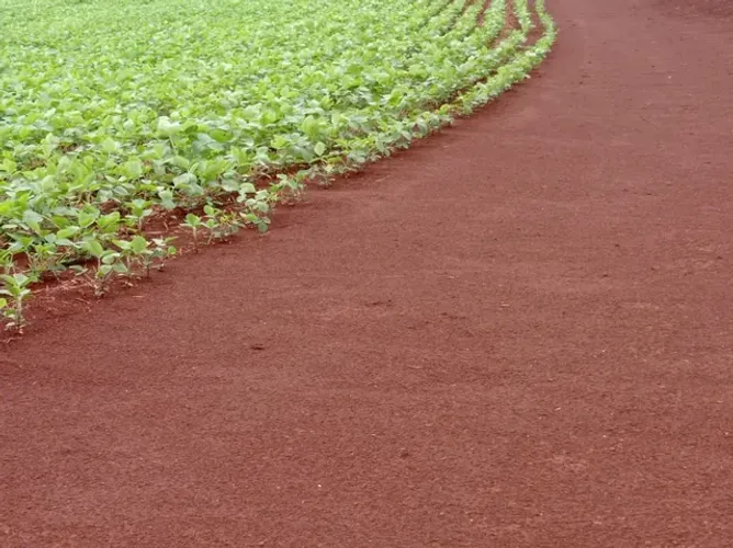 Fazenda de 189 alqueires entre a Usina da Corol (Rolandia) e