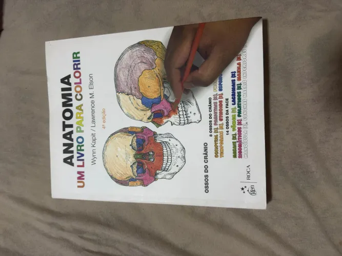 Livro anatomia para pintar 