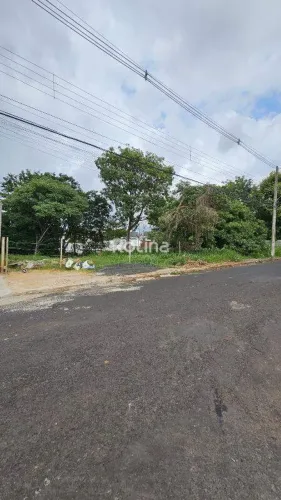 Terreno à venda, Cidade Jardim - Uberlândia/MG - Rotina Imobiliária