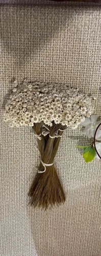?Flor sempre viva , kit com ate 2.000 flores para aniversário,  casamento e artesanatos