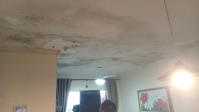 Infiltrações, Resolvemos , leia