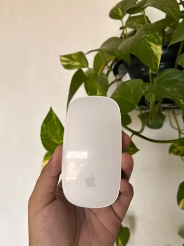 Magic Mouse 2 Multitouch Apple