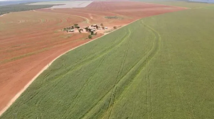 Fazenda Pronta no MATOPIBA - 6.800 ha - 200mi