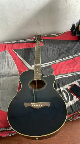 Violão Tagima Dallas