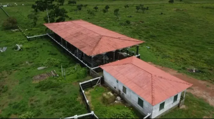 Excelente Fazenda com 1.500ha no Km 20 da BR319 no Careiro. Incríveis 1.000ha abertos
