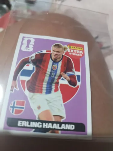 Haland bordô lilás 