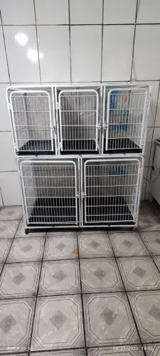 Kit Pet Shop Banho e Tosa Equipamentos e Utensílios 