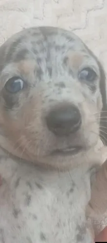 3000