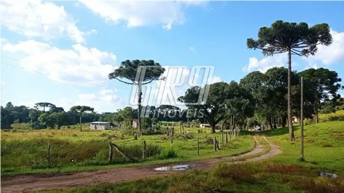 ÁREA à venda com 723754m² por R$ 9.000.000,00 no bairro Borda do Campo - QUATRO BARRAS / P