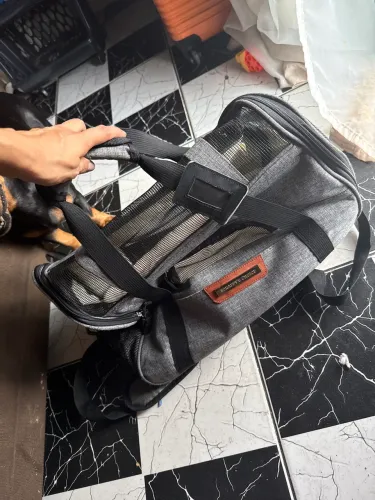 Bolsa de transporte animal
