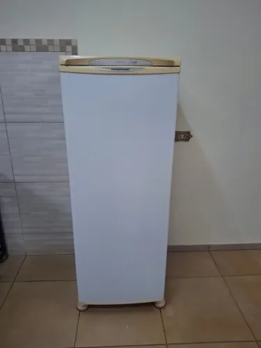 Freezer vertical. Bem conservado.