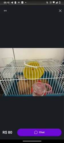 Hamister