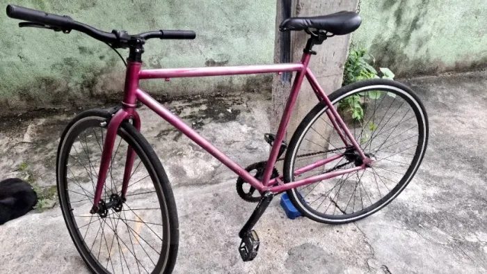 Bike fixa