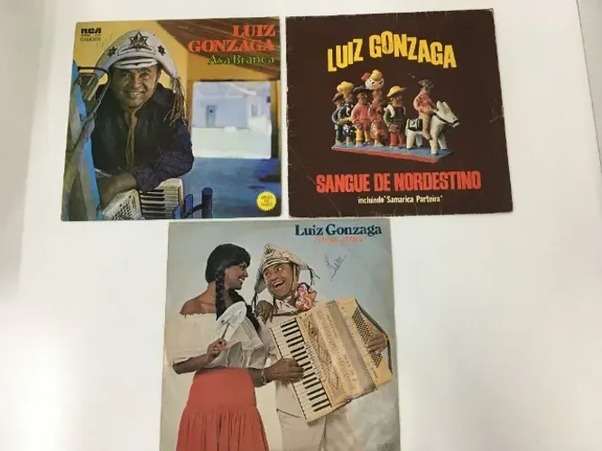 3 - Lp Vinil Luiz Gonzaga - 1973, 1975 e 1978