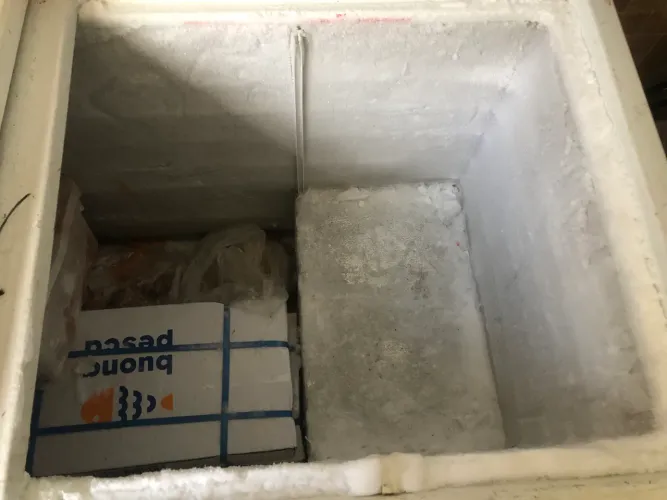 FREEZER metal frio 