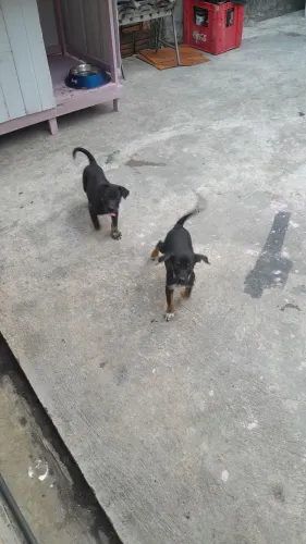 Doação 