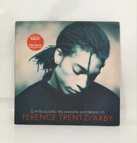 LP VINIL -TERENCE TRENT D ARBY THE HARDLINEACCORDING TO- CBS RECORDS - 11 MUSICAS