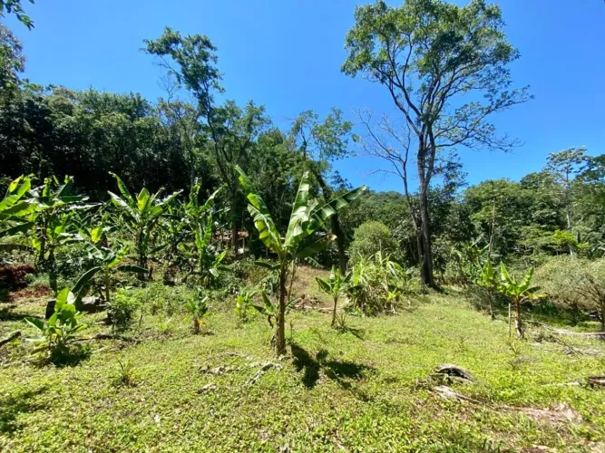 MARICÁ - RURAL - BANANAL (PONTA NEGRA)