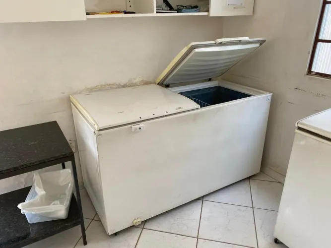 Freezer horizontal
