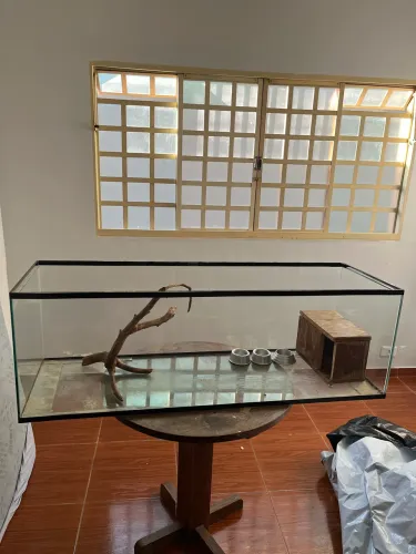 Aquário de bichinho 