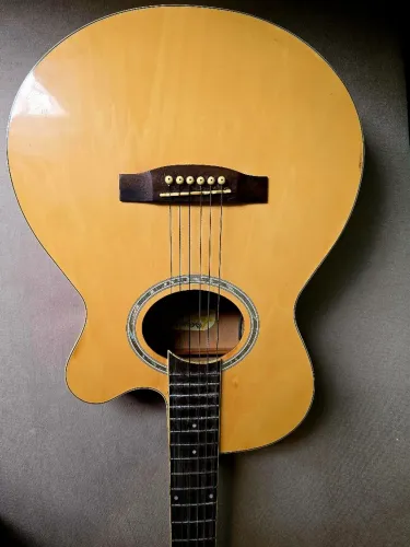 Violão Gianini Performance GN3T