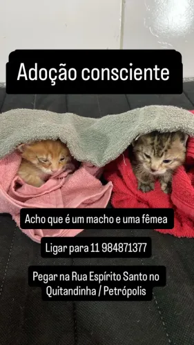 Adoçäo