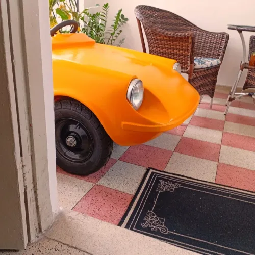 Mini puma