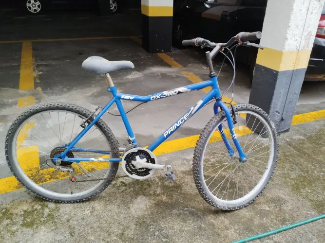Bicicleta Prince DX300