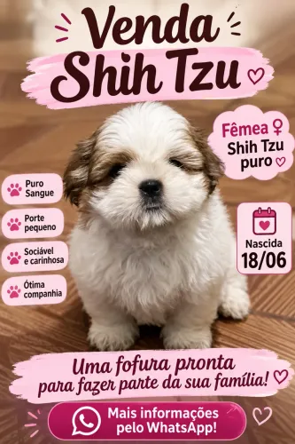 SHITZU FEMIA