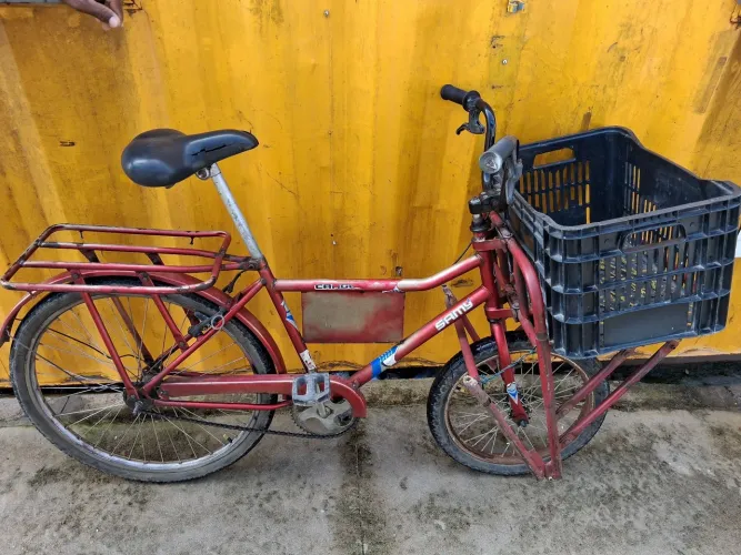 Bicicleta cargueira