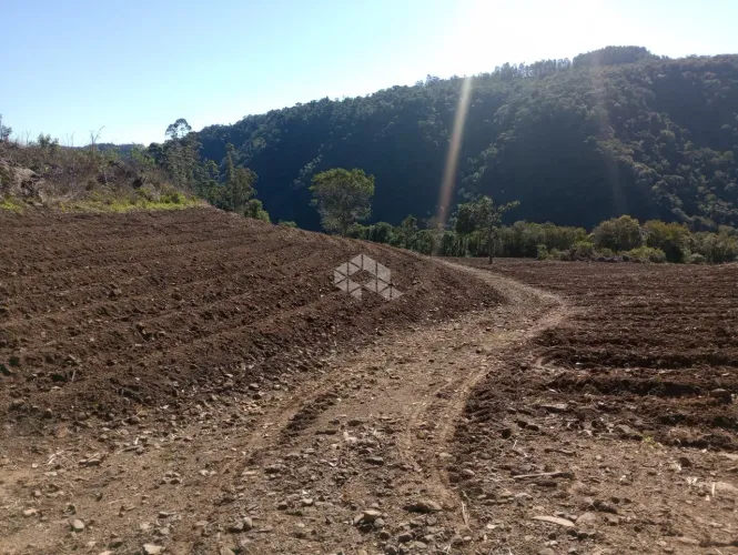 Área de terras com 42 hectares a venda em Cerro Branco - chácara