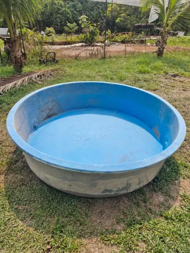 Piscina infantil
