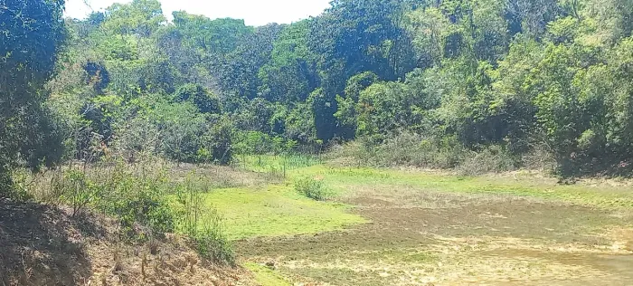 FAZENDINHAS com TERRA DE CULTIVO px a Jequitibá
