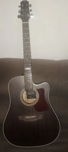Violão Steinberg sd200 Aceito Cartão até 4x sem juros , acompanhar capa .