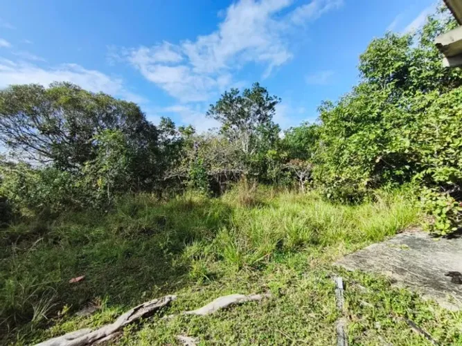 Sitio com 6 hectares em Itanagra