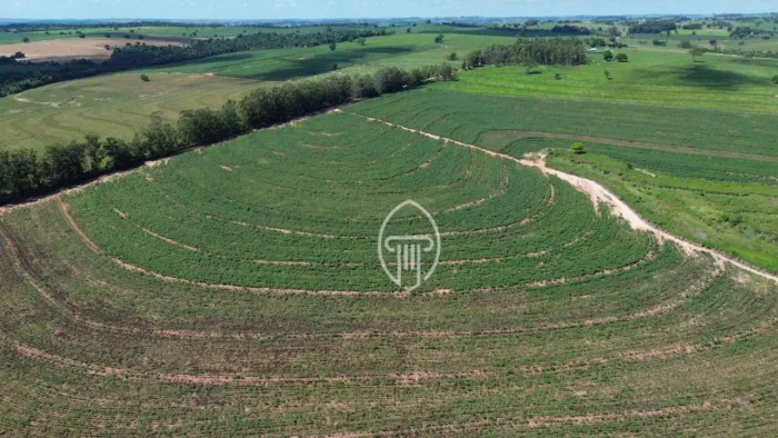 FAZENDA À VENDA EM MARIA HELENA PARANÁ