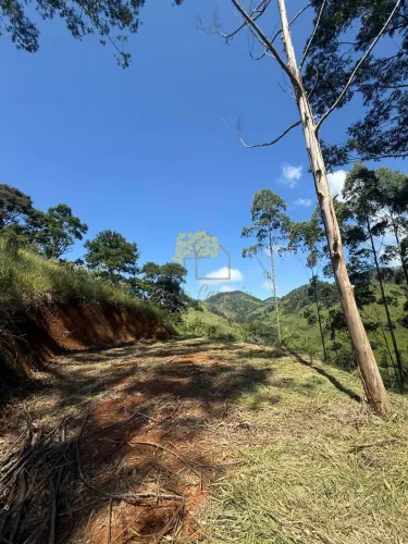 Terreno com 20.000m2 - vista espetacular - São Francisco Xavier