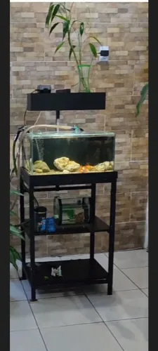 Aquário 70 litros com sump traseiro