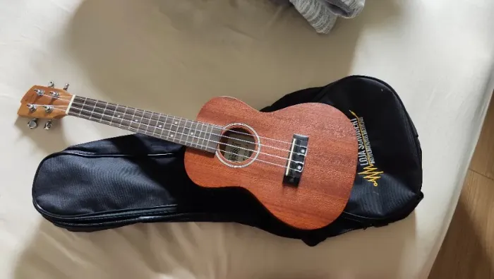 Ukulele Eletroacústico Michael Mk23
